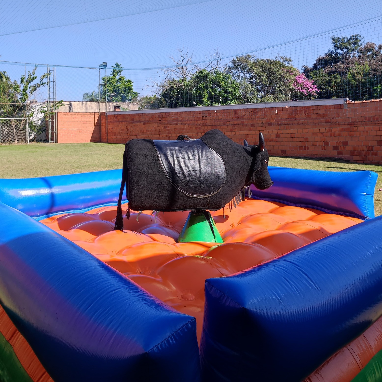 Imagem Touro Mecânico