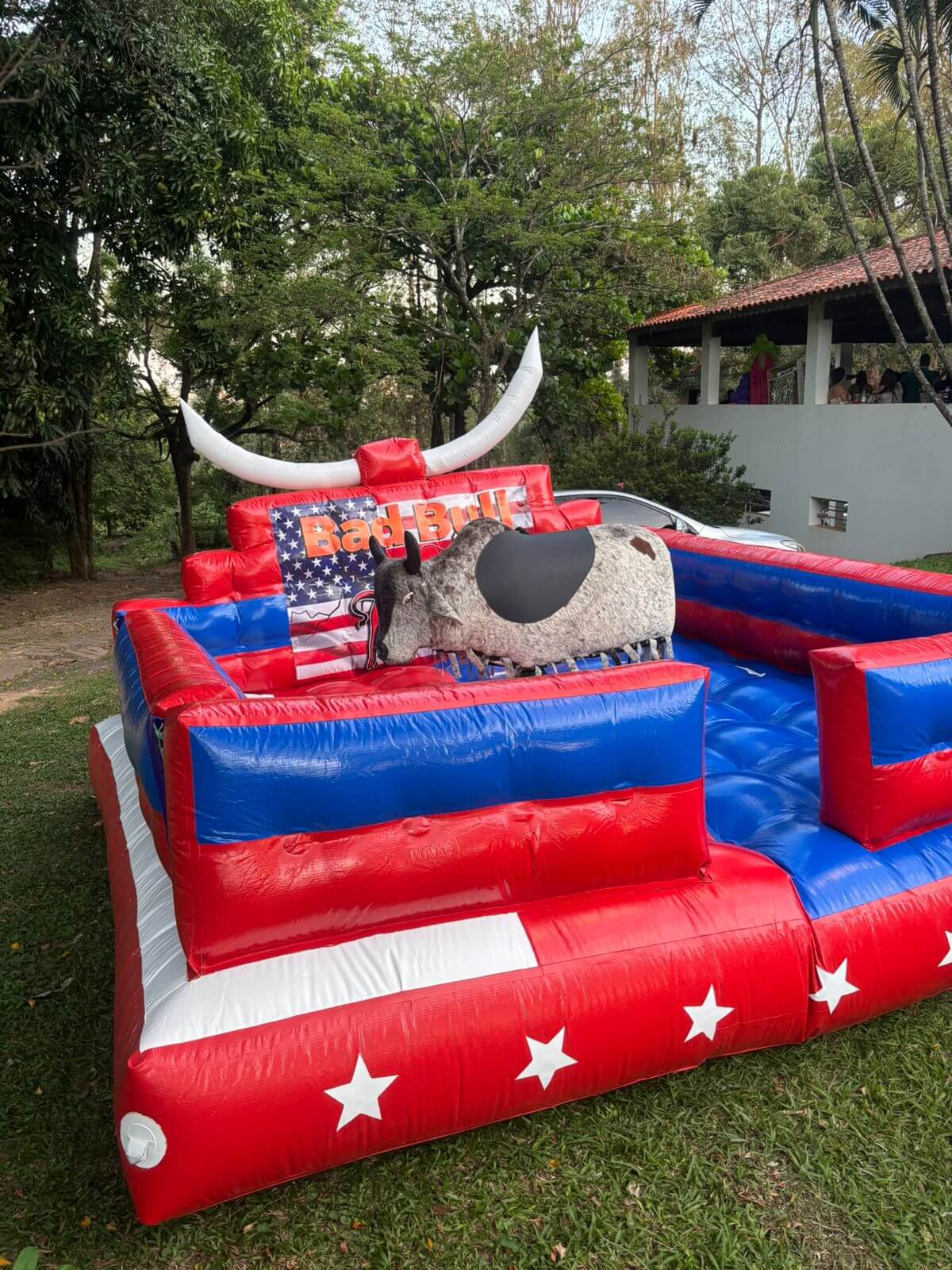 Imagem Touro Mecânico
