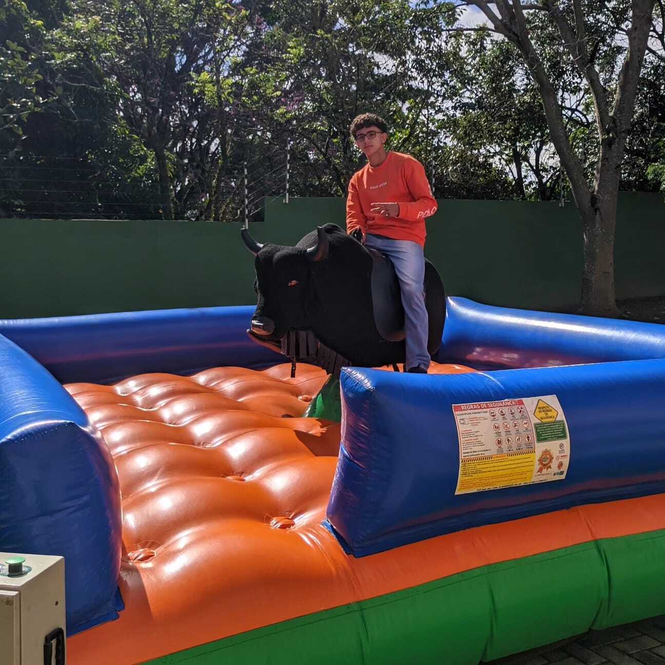 Imagem Touro Mecânico
